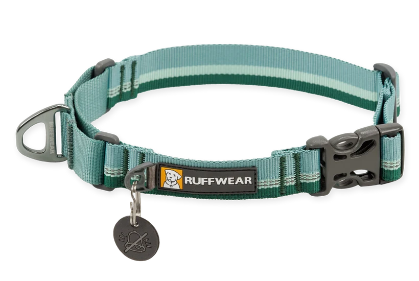 Web Reaction™ Martingale Dog Collar With Buckle